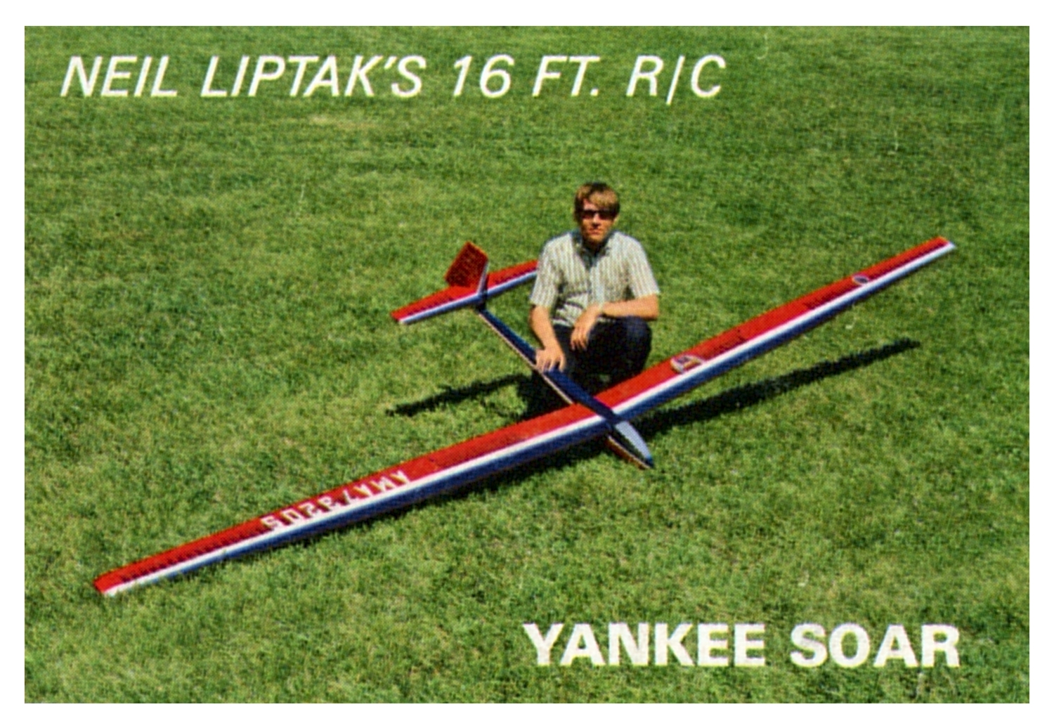 Yankee Soar Liptak